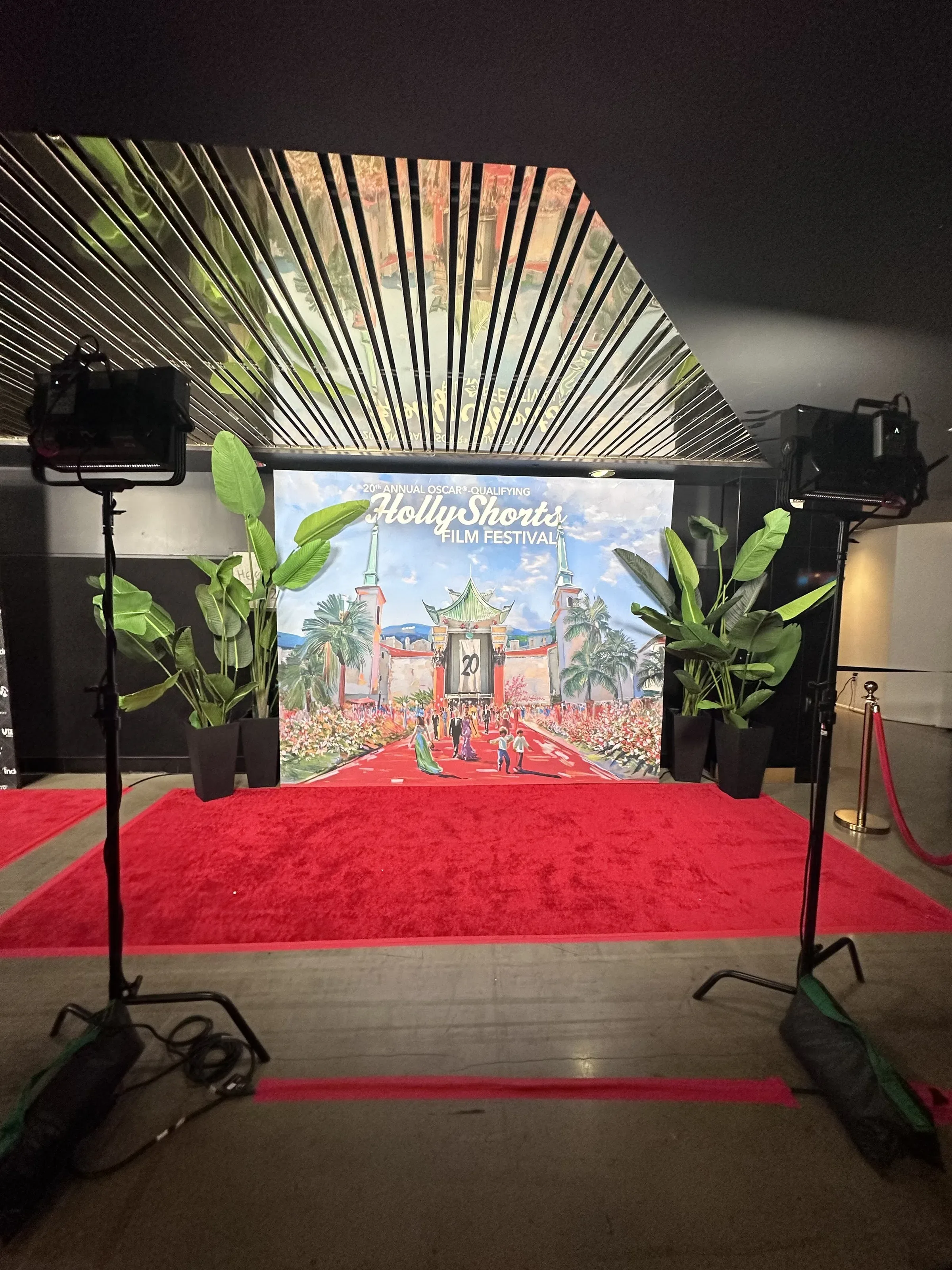 The photo wall as built and lit, with the red carpet in front.