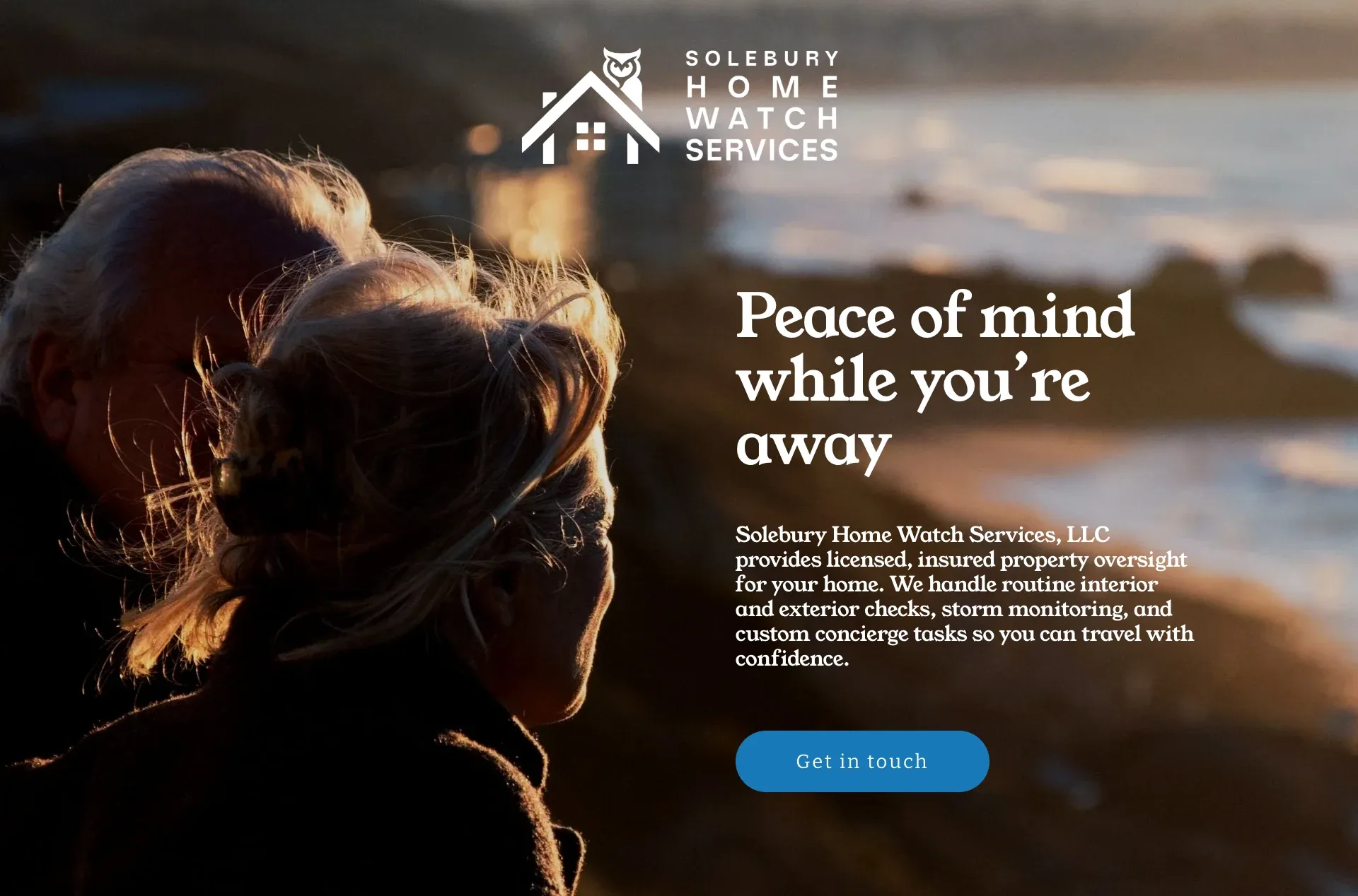 The website’s first screen: “Peace of mind while you’re away.”