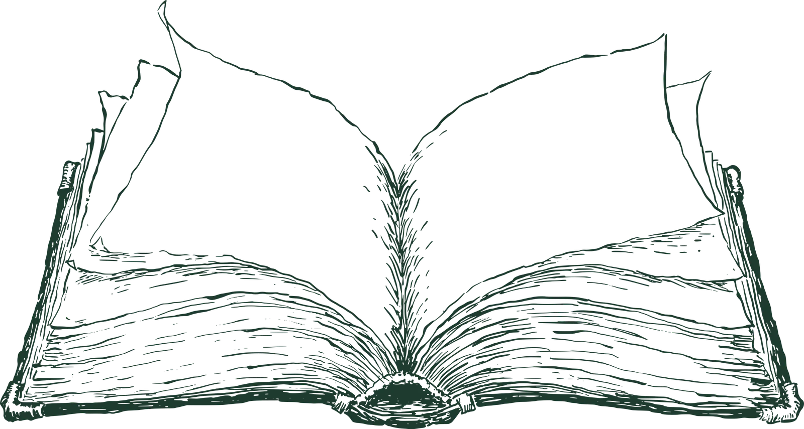 The book, hero: drawn by hand, line by line.