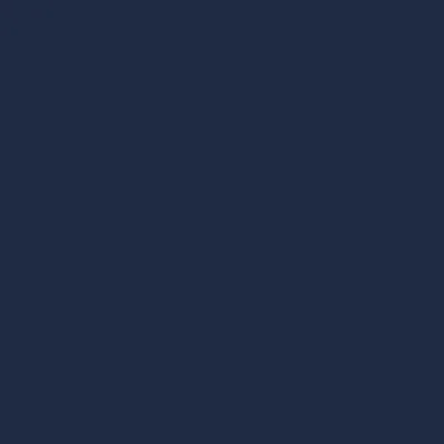 Ink Navy, #1F2B45.